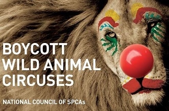 NSPCA Boycott Wild Animal Circuses Banner
