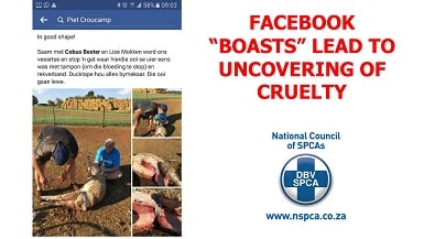 Facebook Boasts Lead To Uncovering Of Cruelty