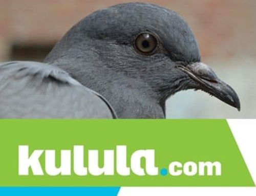 Kulula.com Partners With The NSPCA