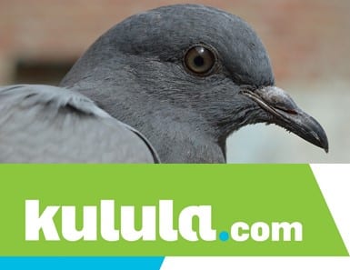 Kulula.com partners with the NSPCA