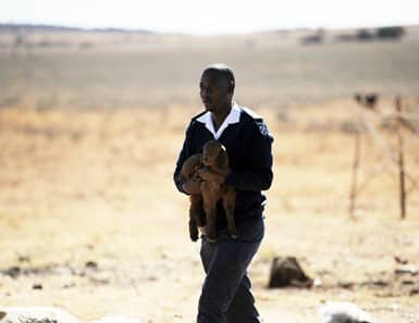 NSPCA Inspector carrying a Goat