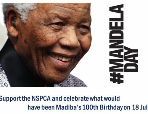 Light Up The World For Madiba