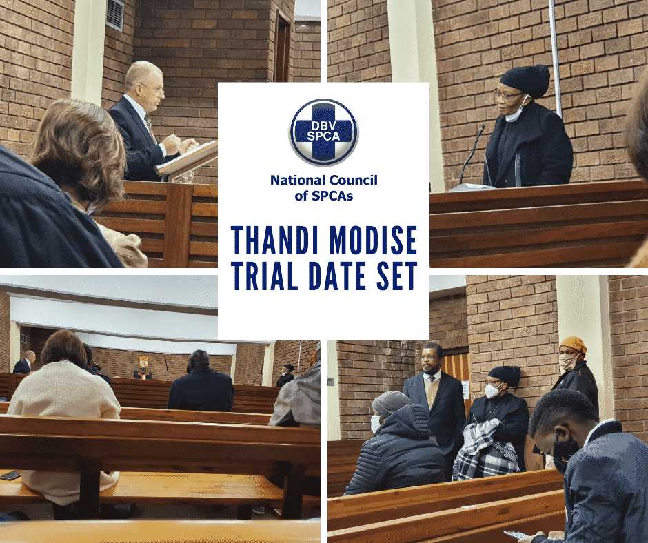 NSPCA Thandi Modise Trial Date Set