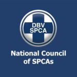 Hyena Shipment To China Stopped (ZNSPCA) | NSPCA