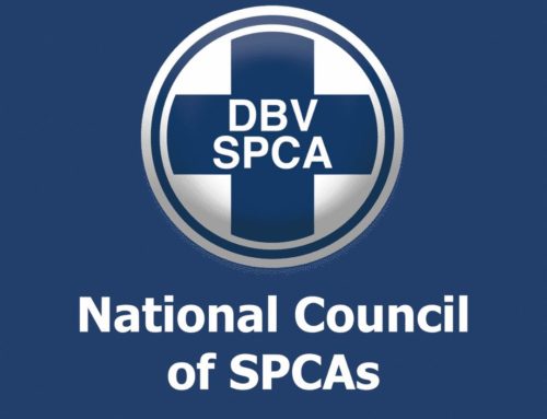NSPCA says, ” Poor people also have poor animals to feed!” 