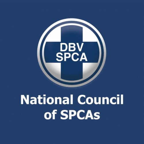 Direct Imprisonment For Dog Fighters | NSPCA