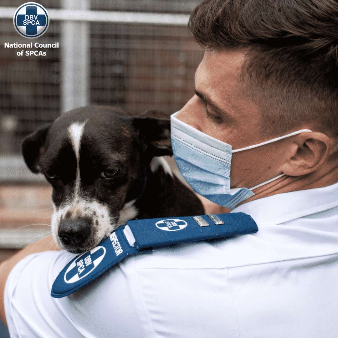 NSPCA inspector carrying a dog