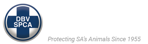 The National Council of SPCAs - We Prevent Cruelty to Animals