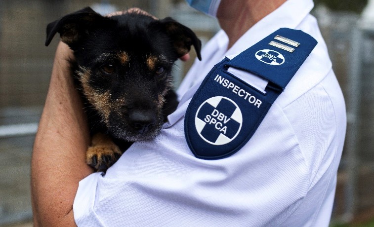 NSPCA Inspector holding a puppy