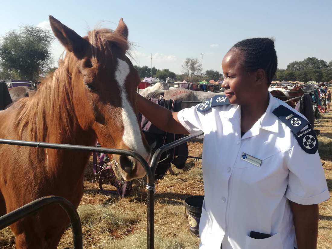 NSPCA Inspector petting a Horse NSPCA Inspector petting a Horse