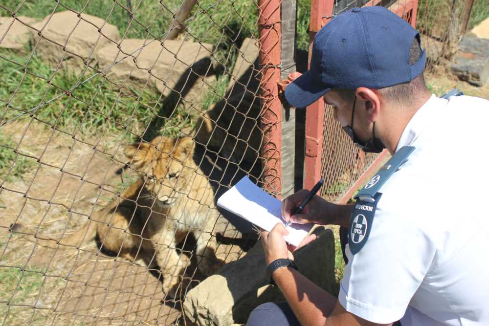Closure of The Captive Lion Industry