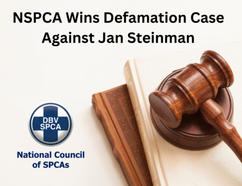 NSPCA Wins Defamation Case Against Jan Steinman 