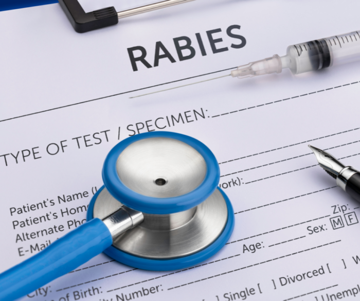 NSPCA Wins Major Reptile Case In South Africa!