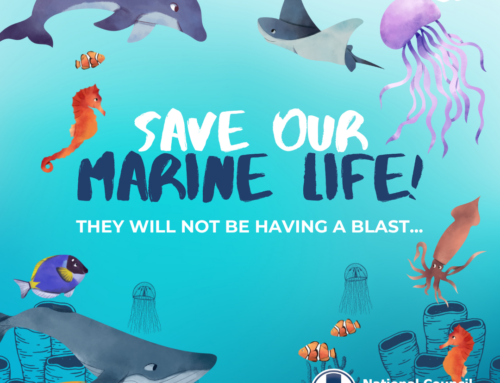 Urgent Appeal: Protect our Ocean Life from Deafening Blasts!