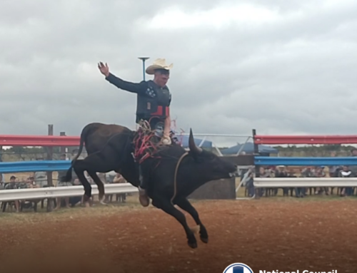 NSPCA Victorious in Landmark Rodeo Prosecution