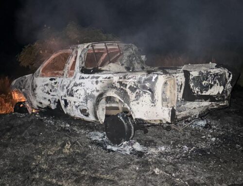 Dogs Barbarically Set Alight in SPCA Vehicle