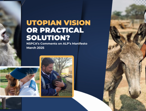 Utopian Vision or Practical Solution?