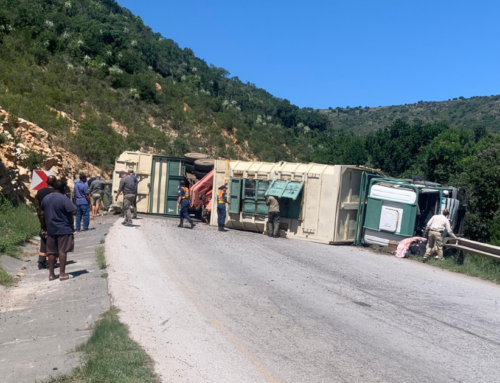 Elephants Trapped in Overturned Truck in the Eastern Cape