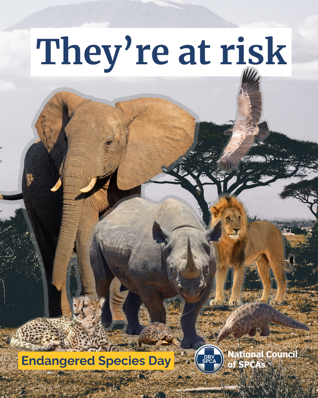 2025-05-14 Endangered Species Day (Insta) (1)