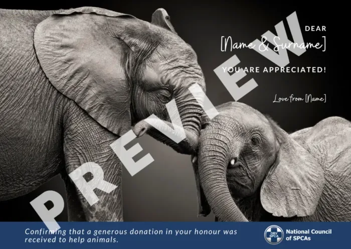 Virtual Card - Image 3