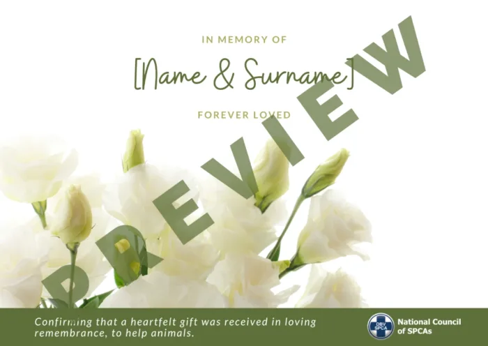 Virtual Card - Image 2