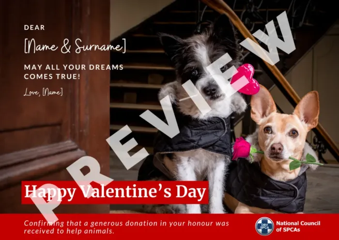 Virtual Card - Image 4