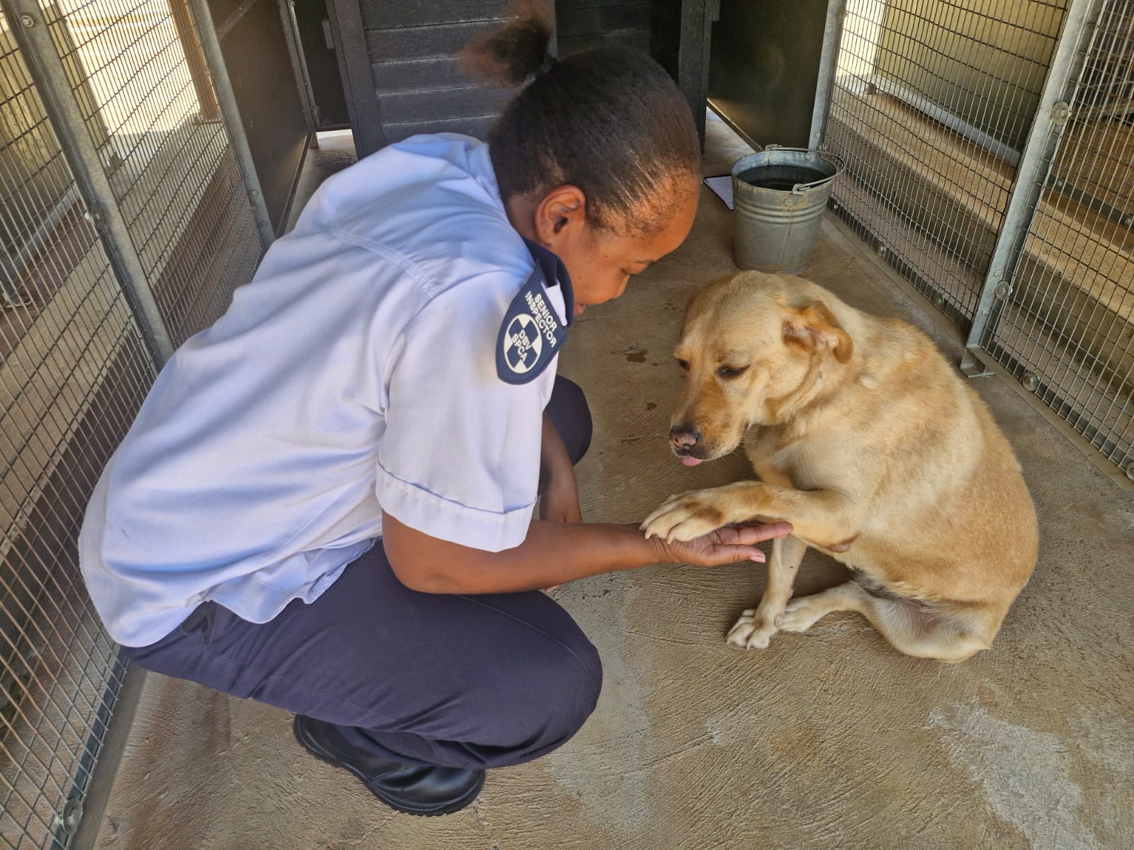 Senior Inspector Sparky Moseki