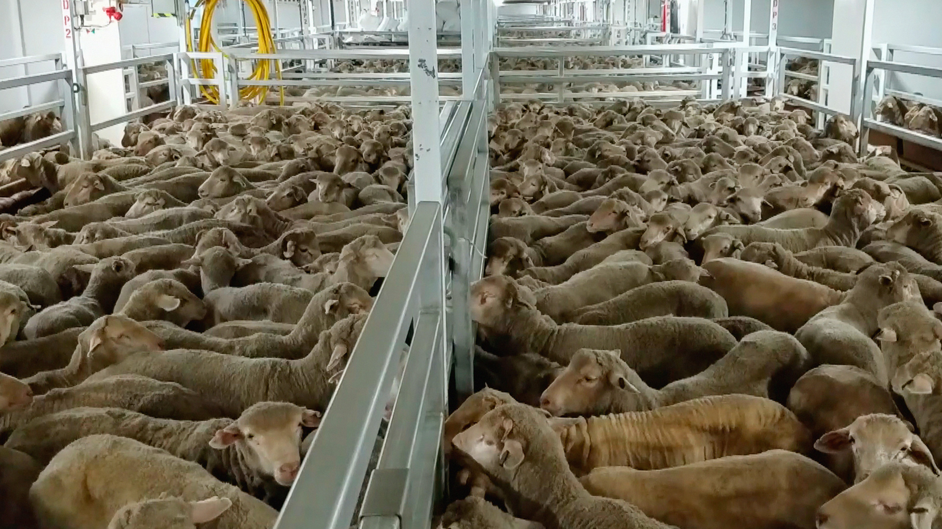 23942_Liveexport_Onboard_2018_11