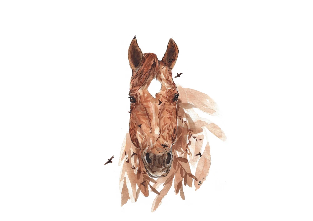 Bruce, the Military Horse Artwork