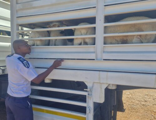 Their Safety Matters: Recognising Humane Transportation of Animals by Road This Transport Month