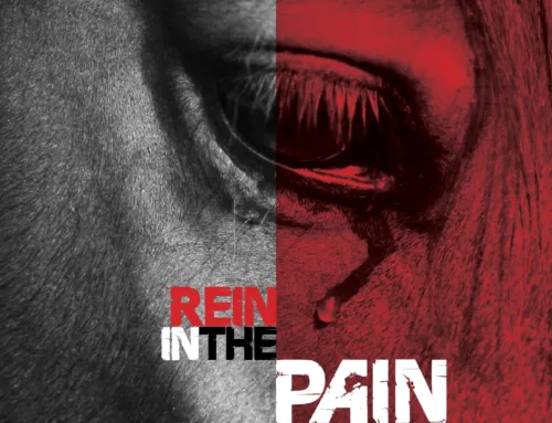 NSPCA Launches ‘Rein in the Pain’ Campaign to Tackle Cruelty in South African Horse Racing