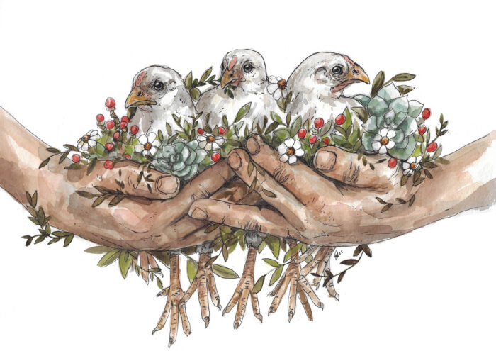 "The Daybreak Chickens" - Original Watercolour Painting