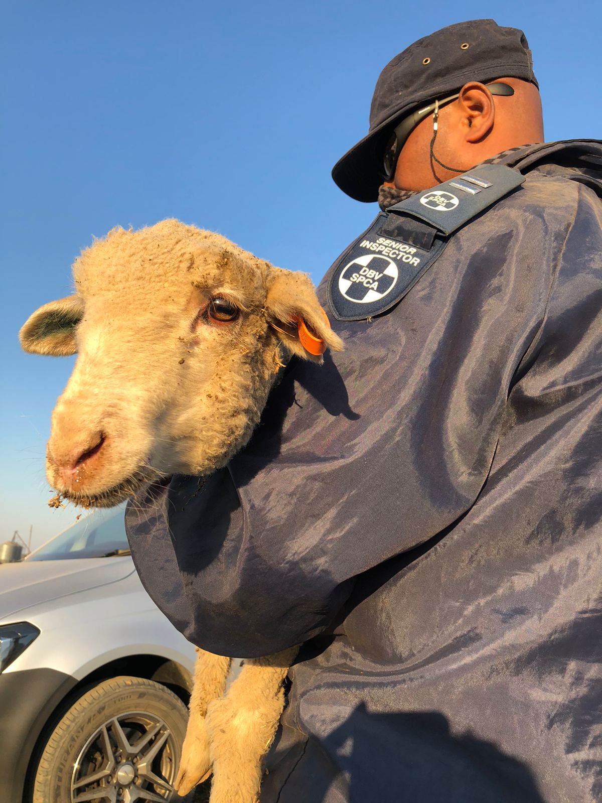 live export 2 safe to use