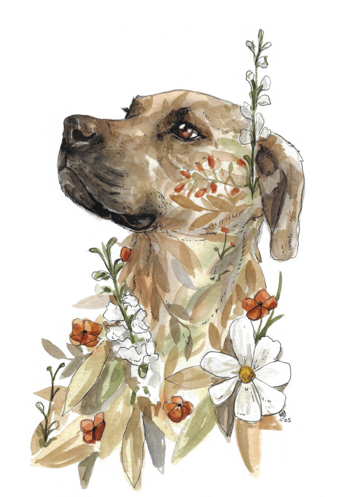 "Bobby, the Rescue Dog" - Original Watercolour Painting