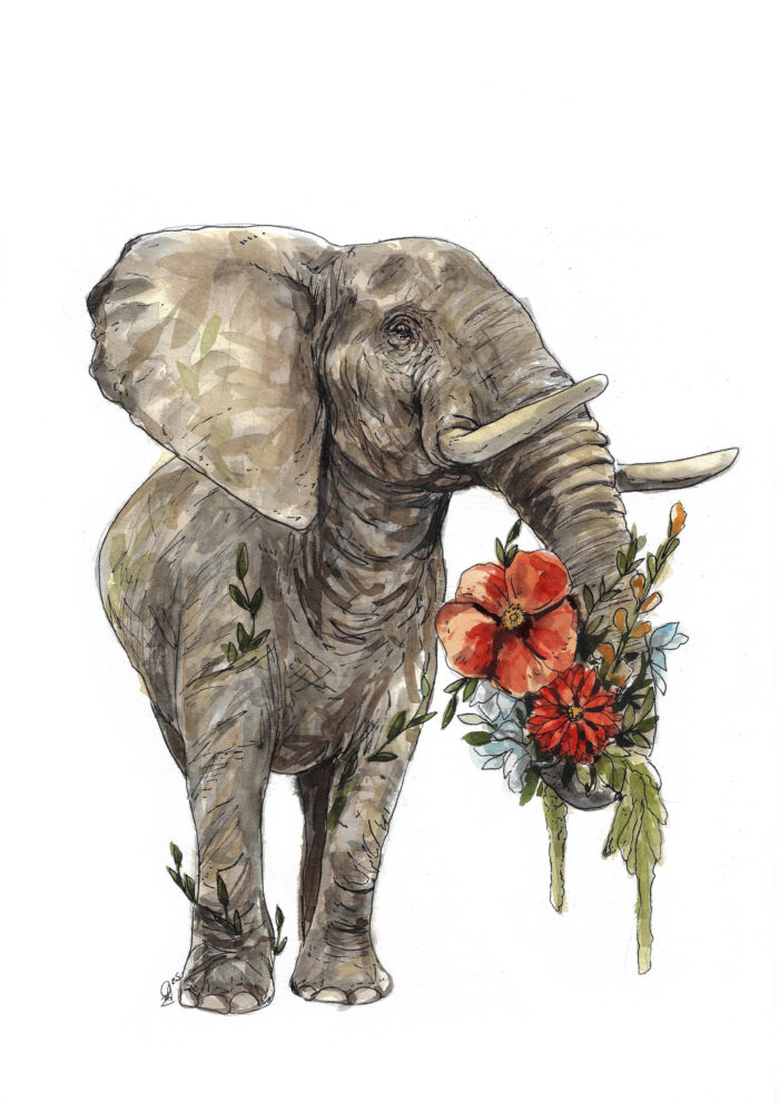 "Charley, the Elephant" - Original Watercolour Painting