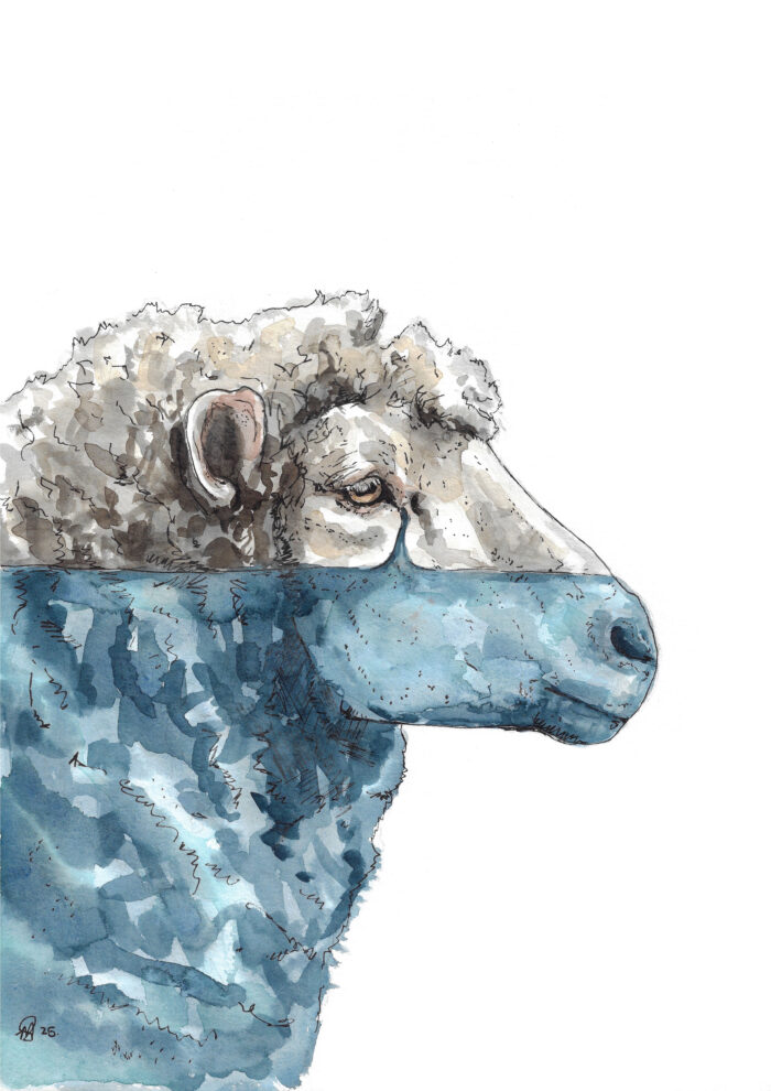 "Trapped at Sea: The Live Export Crisis" - Original Watercolour Painting