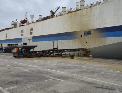 High Court Slams Restrictions on NSPCA and Restores Full Investigative Powers on Live Export Vessels