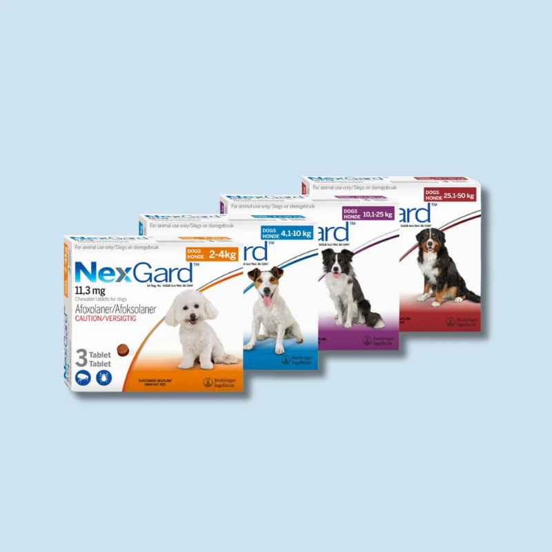 NexGard Chew – Dog Parasite Control – 3’s