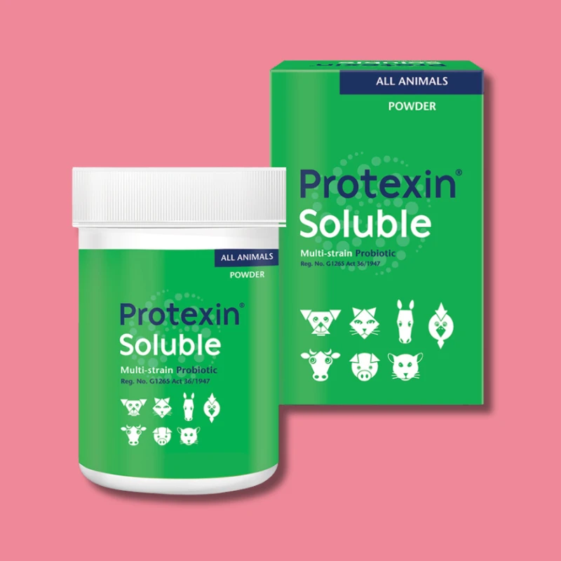 Protexin Soluble – Probiotic Supplement – 60g / 250g