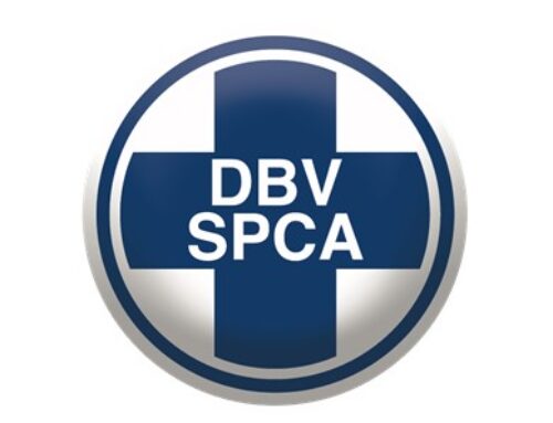 Flash Tender and Eviction by Nelson Mandela Bay Municipality Put Uitenhage SPCA at Risk