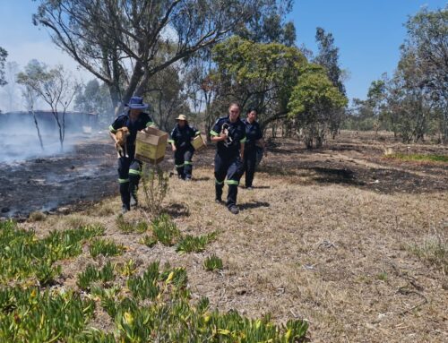 Eastern Cape Fires Disaster: In Photos