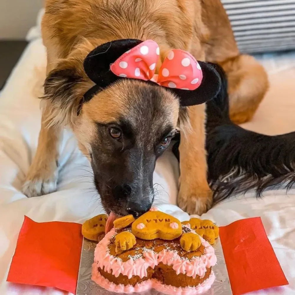 Mimi & Munch Heart Shaped Cake