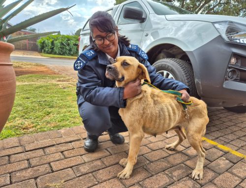 Court Update: The Bobby Case