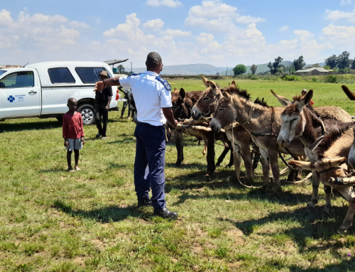 When the NSPCA Bakkie Comes
