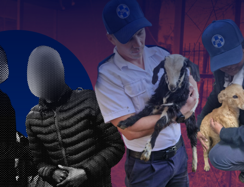 Bestiality Bust: NSPCA Pounces on Two Men for Sexual Abuse of Dog, Goats