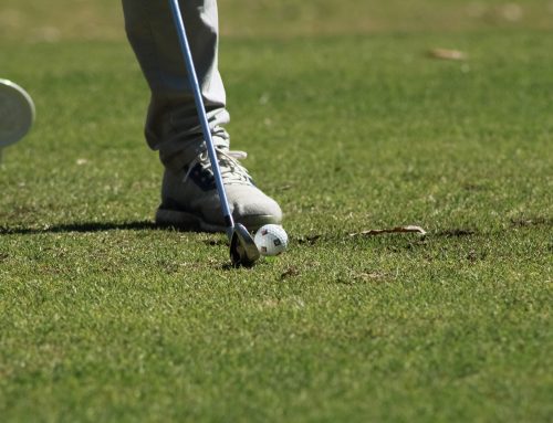 After Ten Years, Golf Returns to the NSPCA Calendar